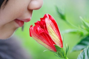 Smell is a powerful but unreliable tool